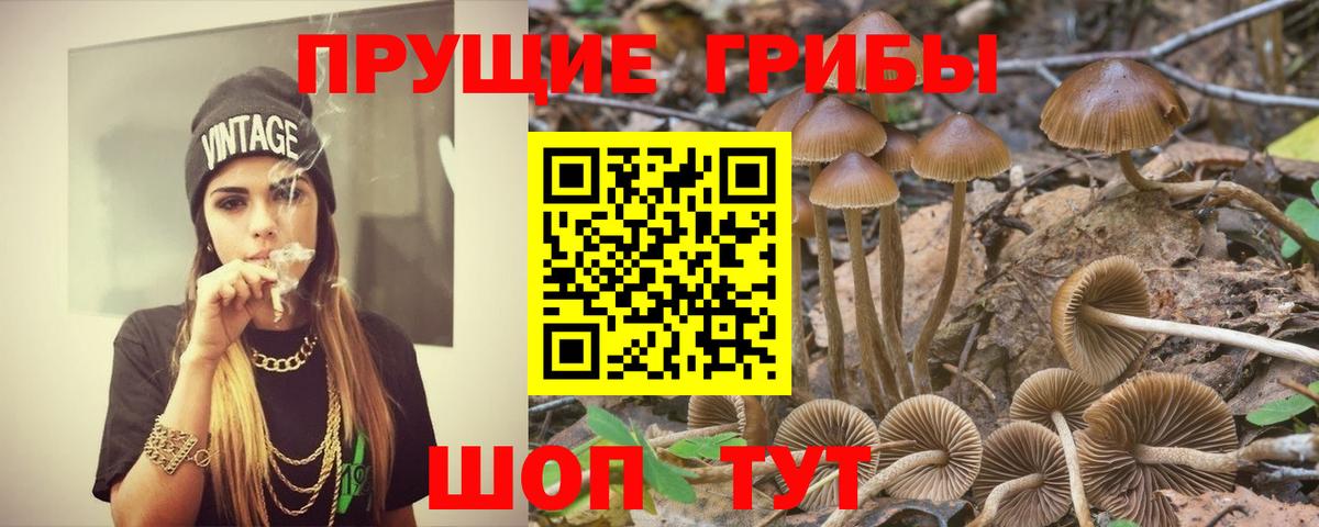 Купить  COCAIN  Краснознаменск  Меф МЯУ МЯУ   ЭКСТАЗИ  Вход с VPN  ГАШИШ  АМФ   Лсд 25 