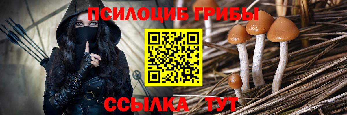 Галлюциногенные грибы ЛСД  Вход с VPN  Псилоцибиновые грибы Psilocybe  Краснознаменск 